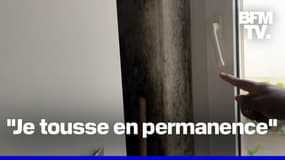  Lyon: sa santé se dégrade à cause de la moisissure dans son appartement 