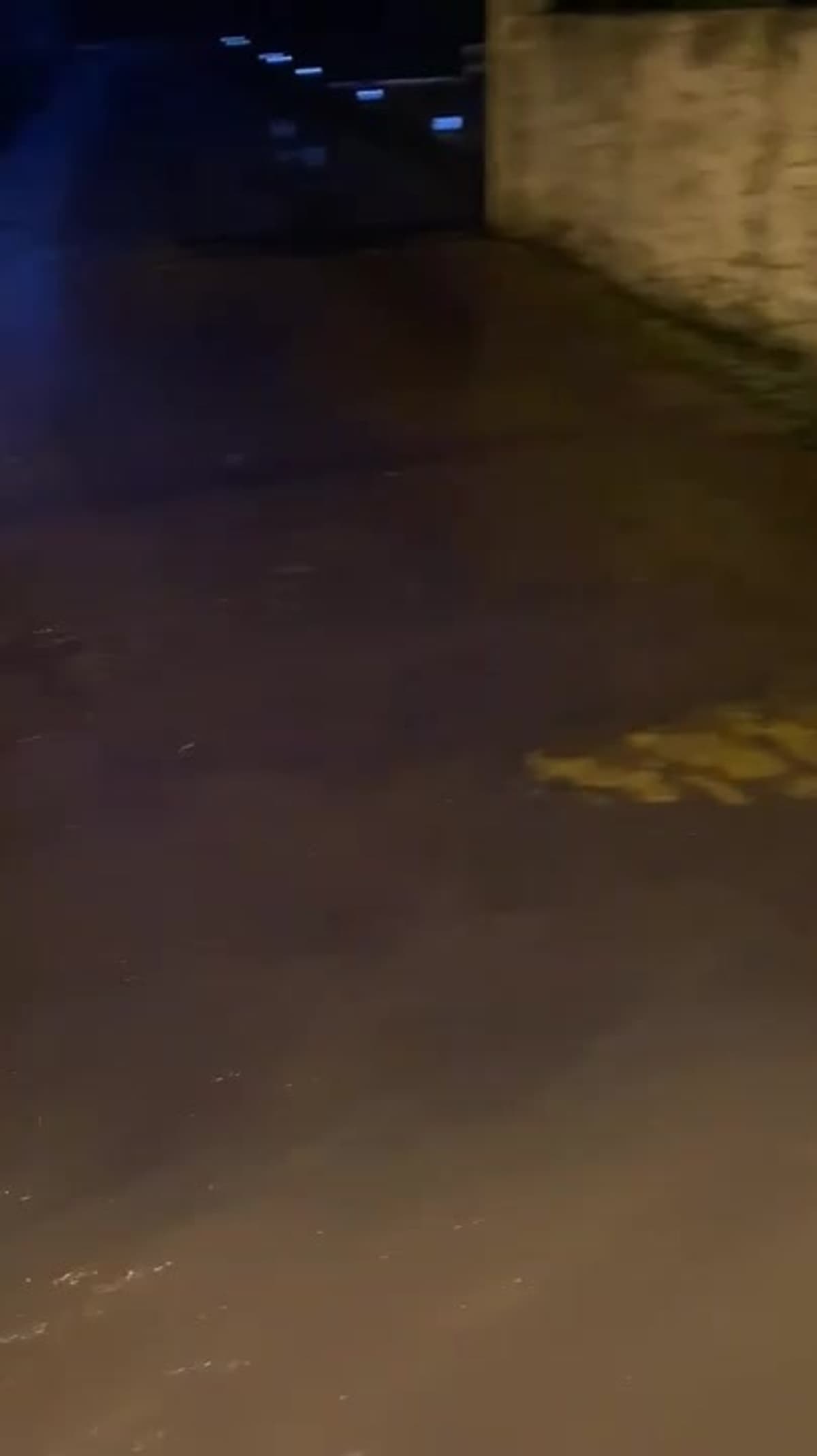 placeholder video