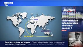 Bientôt du lait néo-zélandais dans nos rayons? BFMTV répond à vos questions