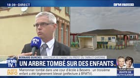 Tarn-et-Garonne: Un arbre tombé sur des enfants (2/2)