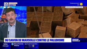 Une étude montre l'efficacité du savon de Marseille contre les piqûres de moustiques