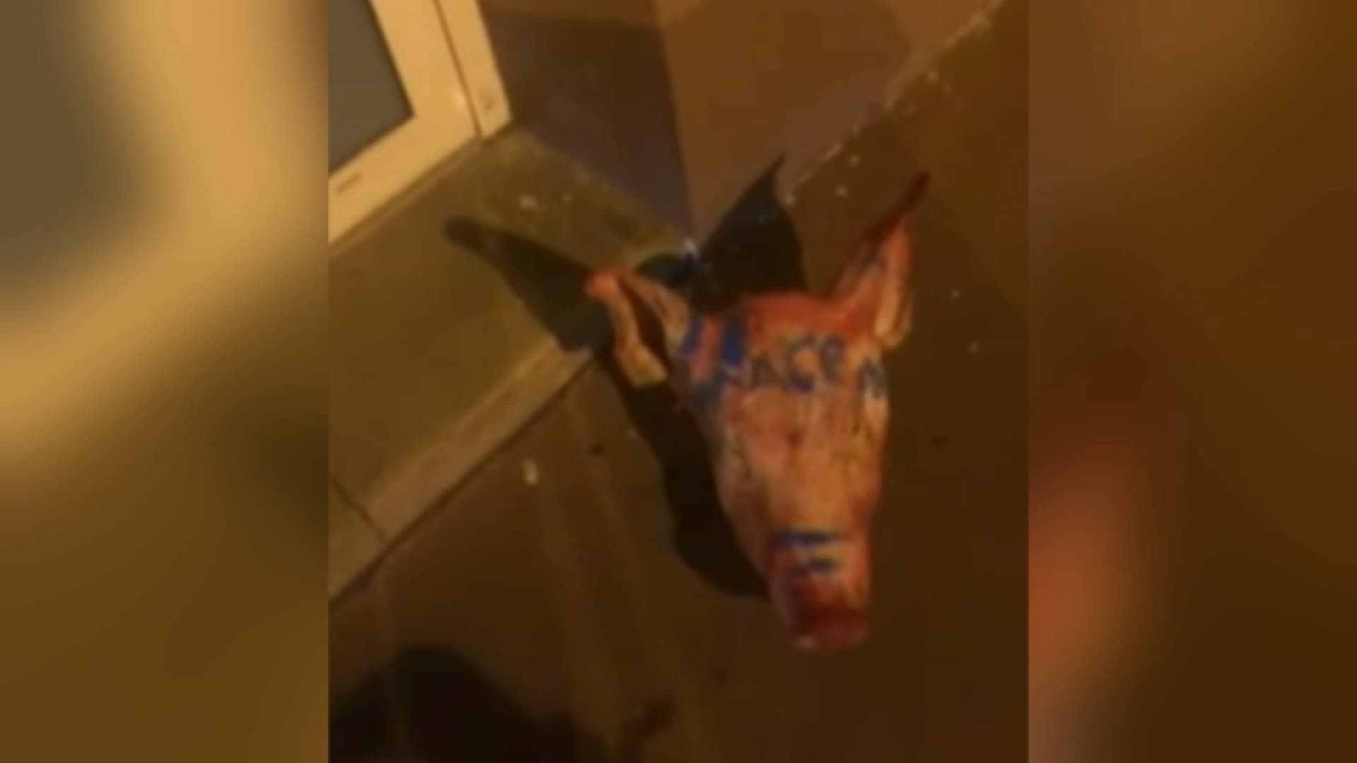 TÊTES DE PORC DÉCAPITÉES DEVANT DES MOSQUÉES: LES SUSPECTS SONT "DE NATIONALITÉ ÉTRANGÈRE" ET ONT "AUSSITÔT QUITTÉ LE TERRITOIRE"