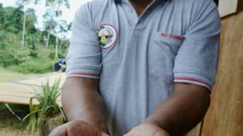 Javier Sedano, producteur de café de Satipo au Pérou, montre une poignée de grains de café le 28 juin 2017 Javier Sedano, producteur de café de Satipo au Pérou, montre une poignée de grains de café le 28 juin 2017