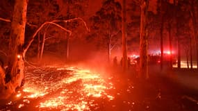 L'incendie qui racage actuellement l'est de l'Australie - Image d'illustration 