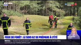 Avec la sécheresse, les pompiers du Pas-de-Calais se préparent à l'été