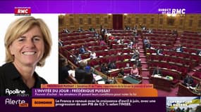 Puissat : "Le gouvernement communique beaucoup mais n'est pas à l'action