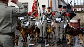 Des chiens, appartenant au 132e RIC participent à l'inauguration du premier mémorial dédié aux chiens héros civils et militaires en France à Suippes, le 20 octobre 2022.