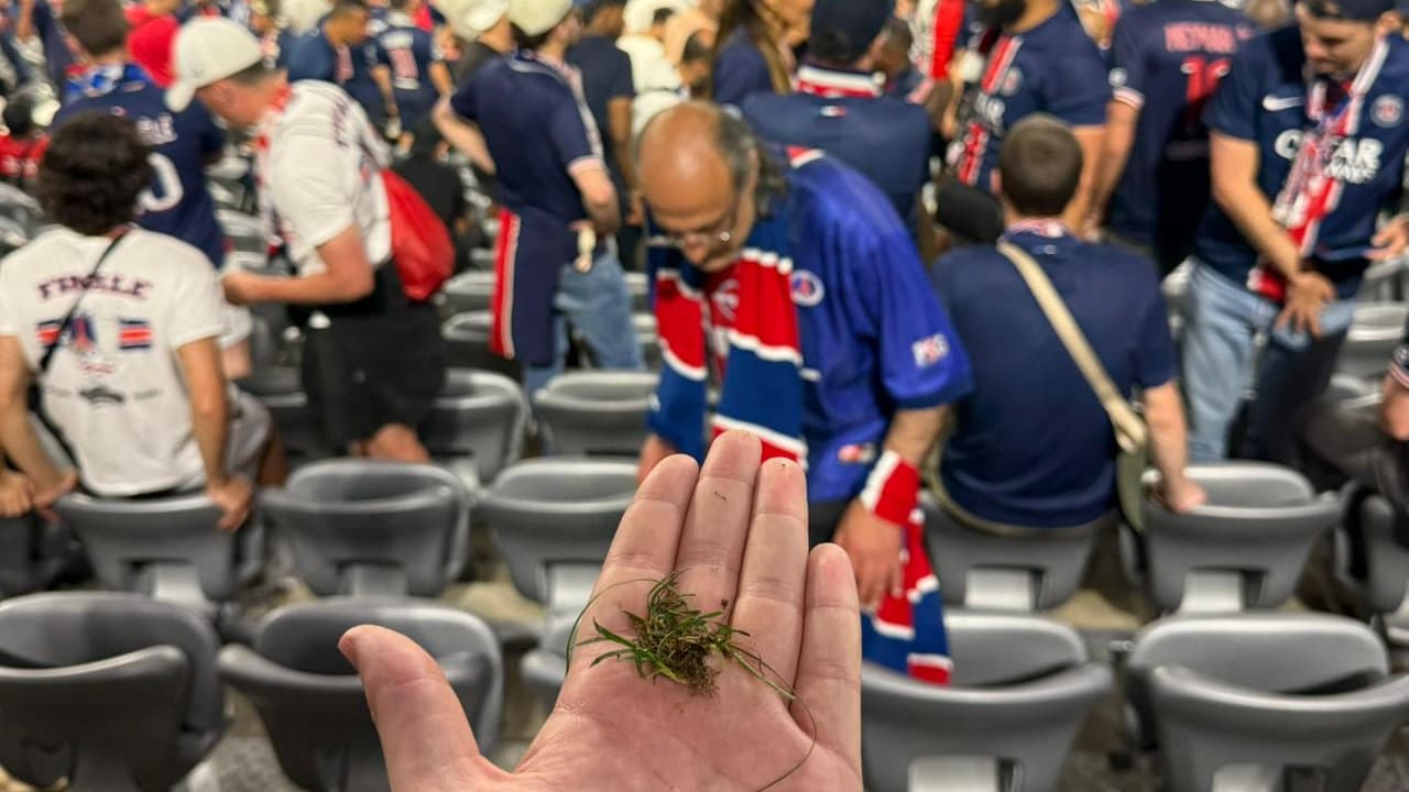 Quelques brindilles de pelouse pour l'éternité après le sacre du PSG en Ligue des champions, le 31 mai 2025 Quelques brindilles de pelouse pour l'éternité après le sacre du PSG en Ligue des champions, le 31 mai 2025