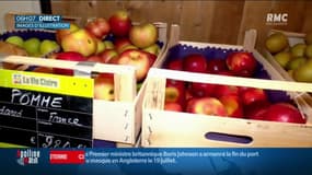  Bouches-du-Rhône : un grossiste est soupçonné d'avoir "francisé" des centaines de légumes espagnols