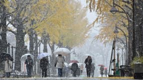 La capitale japonaise est sous la neige au mois de novembre. Une première depuis 1962. 
