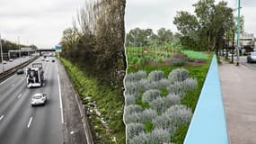 Le projet Happy Vallée imagine de transformer l'entrée de Paris en vallée agricole. 