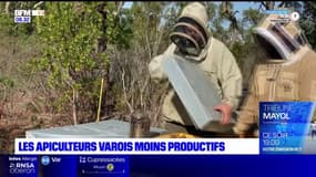 Var: le rendement des apiculteurs diminue