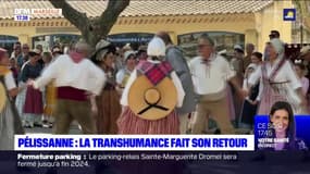 Pélissanne : la transhumance fait son retour