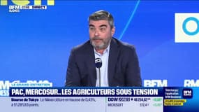 Le Grand entretien : Tereos face à la chute du cours du sucre -13/11