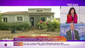 François Gemenne, membre du GIEC : "Un grand nombre d'habitations sont dans des zones inondables".