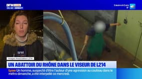 Rhône: un abattoir dans le viseur de l'association L214, qui dénonce des pratiques inhumaines