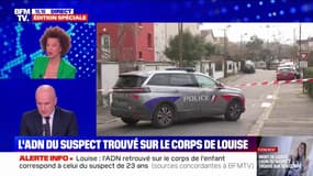 Meurtre de Louise: l'ADN du suspect retrouvé sur le corps de la victime
