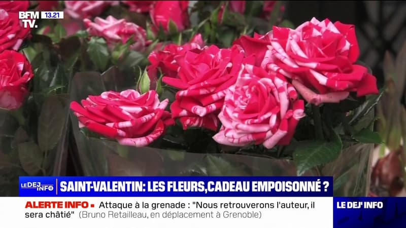 UFC-Que Choisir alerte sur des bouquets de fleurs contaminés par les pesticides