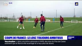 "Aller le plus loin possible": le Losc en déplacement ce mercredi à Dijon pour les 32es de finale de coupe de France