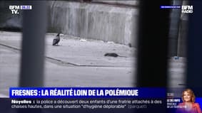 Hygiène déplorable, rats, sous-effectif des agents... Loin de la polémique, la réalité de la prison de Fresnes