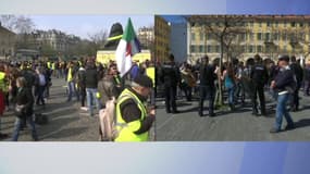 Rassemblement interdit à Nice: six personnes ont été interpellées