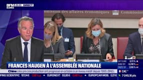 Facebook files: la lanceuse d'alerte Frances Haugen à l'Assemblée nationale: 