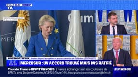 Mercosur : la France "piétinée", pour la FNSEA - 07/12