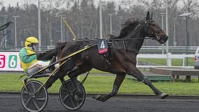 L'Italien Vivid Wise As revient en France avec des ambitions