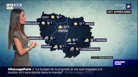 Météo Paris Ile-de-France: un ciel voilé, les températures remontent ce vendredi
