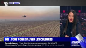 Le plus de 22h Max: Tout pour sauver les cultures du gel - 08/04