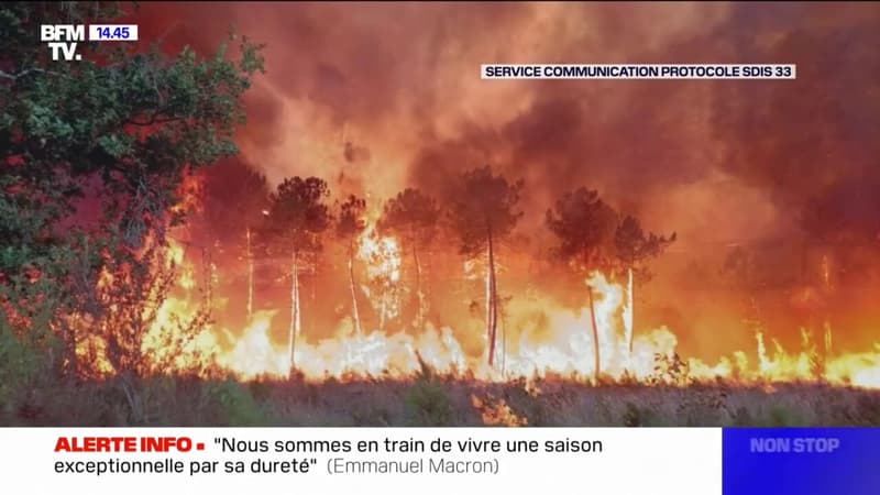 Incendies en Gironde: plus de 7500 hectares partis en fumée, le feu continue sa progression