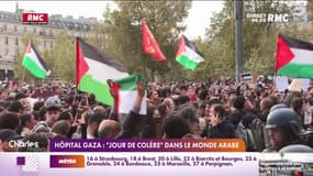 Le Conseil d'Etat s'oppose à l'interdiction des manifestations pro-palestiniennes