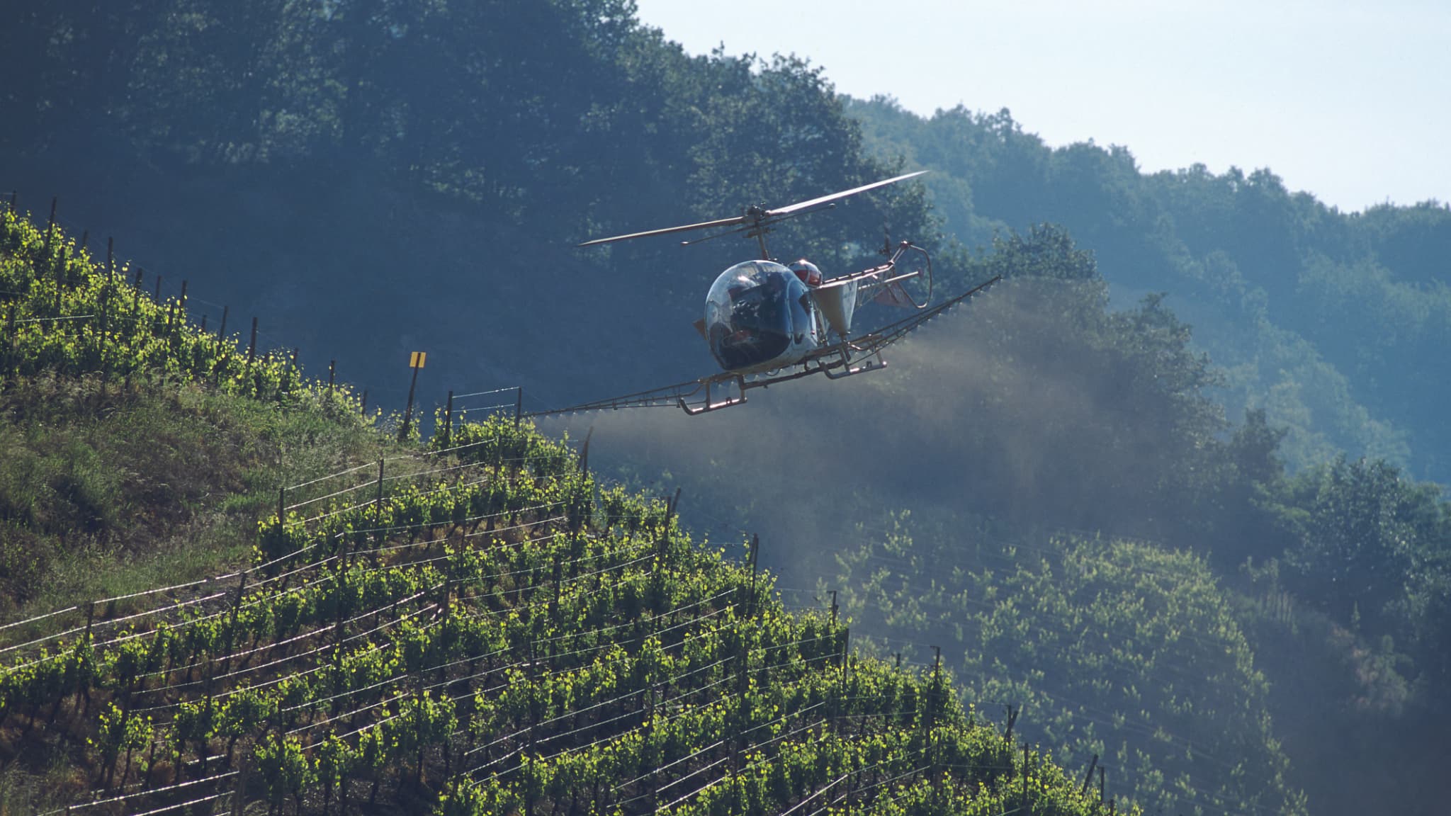 Un hélicoptère pulvérise un traitement sur la vigne, en Alsage, le 8 décembre 2005