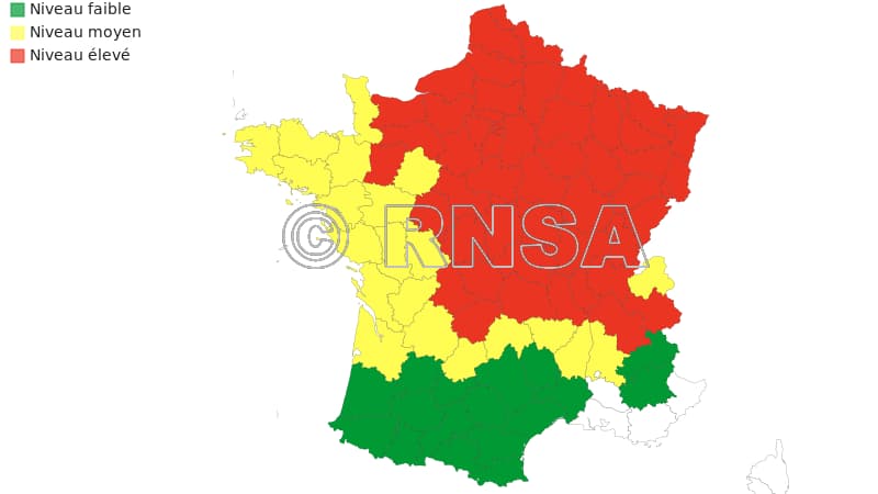 Prévision pollinique du bouleau du 13 avril 2022