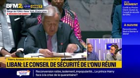 Israël/Liban: quels pouvoirs ont les Nations Unies?