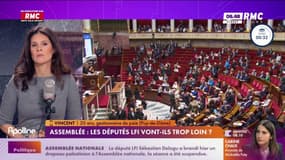 "On est sur la politique du buzz" : Vincent auditeur, réagit au drapeau palestinien brandi par un député à l'Assemblée nationale
