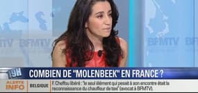 "Des Molenbeek, il y en a également en France, on n'a pas de leçons à donner à la Belgique", Lydia Guirous