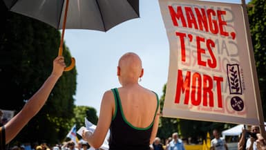Fleur Breteau, malade du cancer et créatrice du collectif Cancer Colère, prononce un discours lors d'un banquet organisé par des agriculteurs contre le projet de loi agricole Duplomb, devant le jardin du Luxembourg, à Paris, le 30 juin 2025.