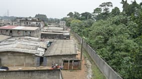 Face à l'urbanisation sauvage, le "poumon vert" d'Abidjan se barricade