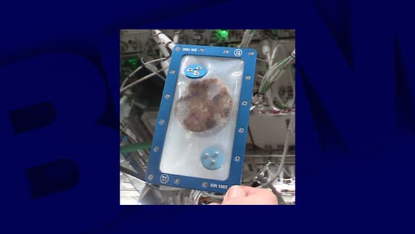 Un des cookies de l'espace Un des cookies de l'espace