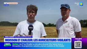 Eure: la préfecture appelle à la vigilance aux feux de moissons
