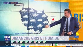Météo Paris Île-de-France du 20 janvier: Dimanche gris et humide