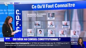 Quelles sont les missions du Conseil constitutionnel? 