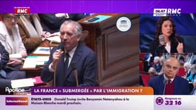 3 questions pour comprendre : Immigration, une "submersion" ? - 29/01