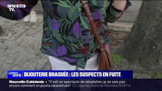  "J'ai vu quelqu'un avec une mitraillette": une témoin du braquage de la bijouterie à Paris raconte