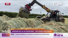 Censure de la loi Duplomb : "C’est un choix politique, on n’a plus besoin de nous"