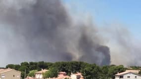 Incendie à Carros, interventions aériennes - Témoins BFMTV