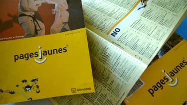 L'héritier de l'éditeur des PagesJaunes, recentré sur internet, a une offre commune avec Google pour ses petits annonceurs locaux.