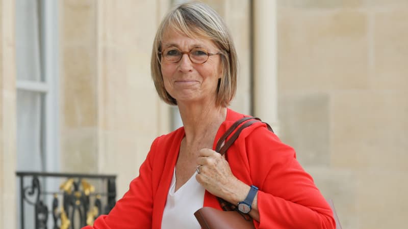 Françoise Nyssen, ministre de la Culture