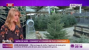 Sapin de Noël : Comment le conserver plus longtemps? 